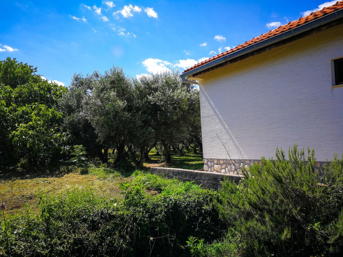 Ecohouse Oliveglia (isolated agricultural estate)