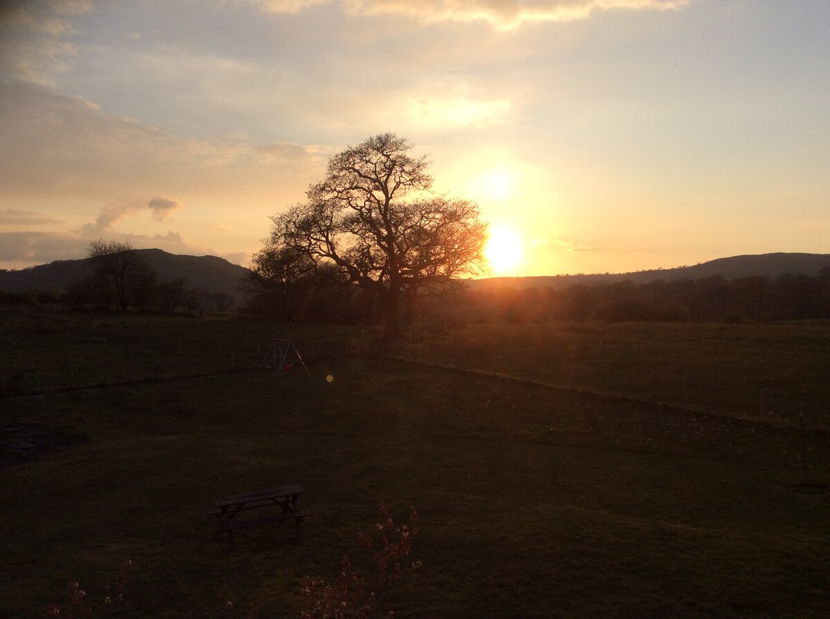 Sleep among swallows, drink in the view.