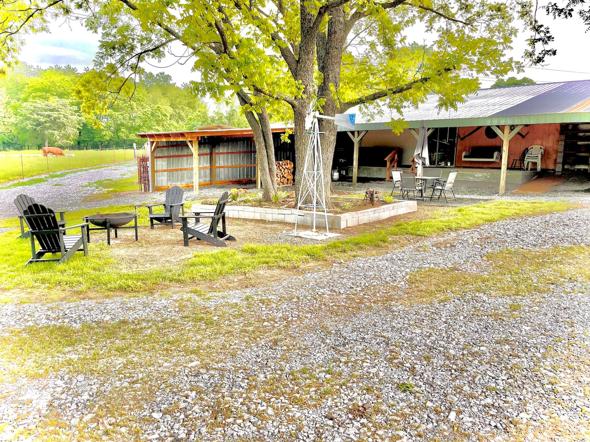 Arky’s Cabin; Country setting in town!