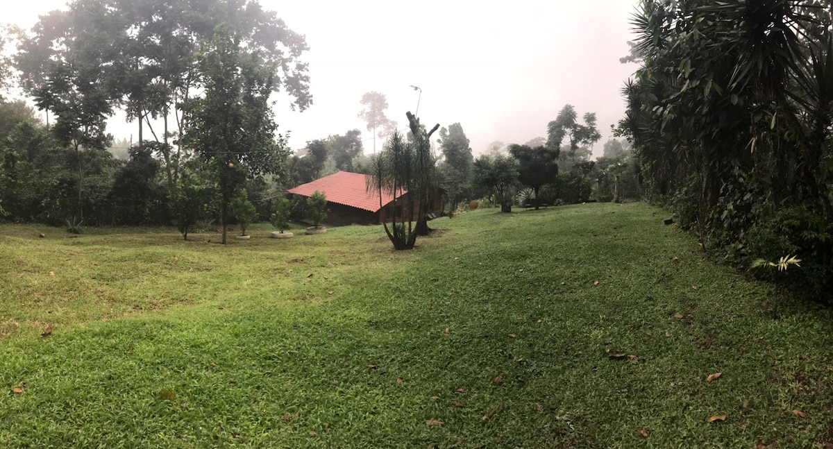 山上的小屋：四周环绕着绿色植物