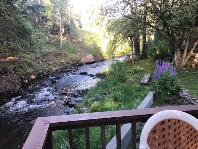 爱达荷泉 (Idaho Springs)的民宿