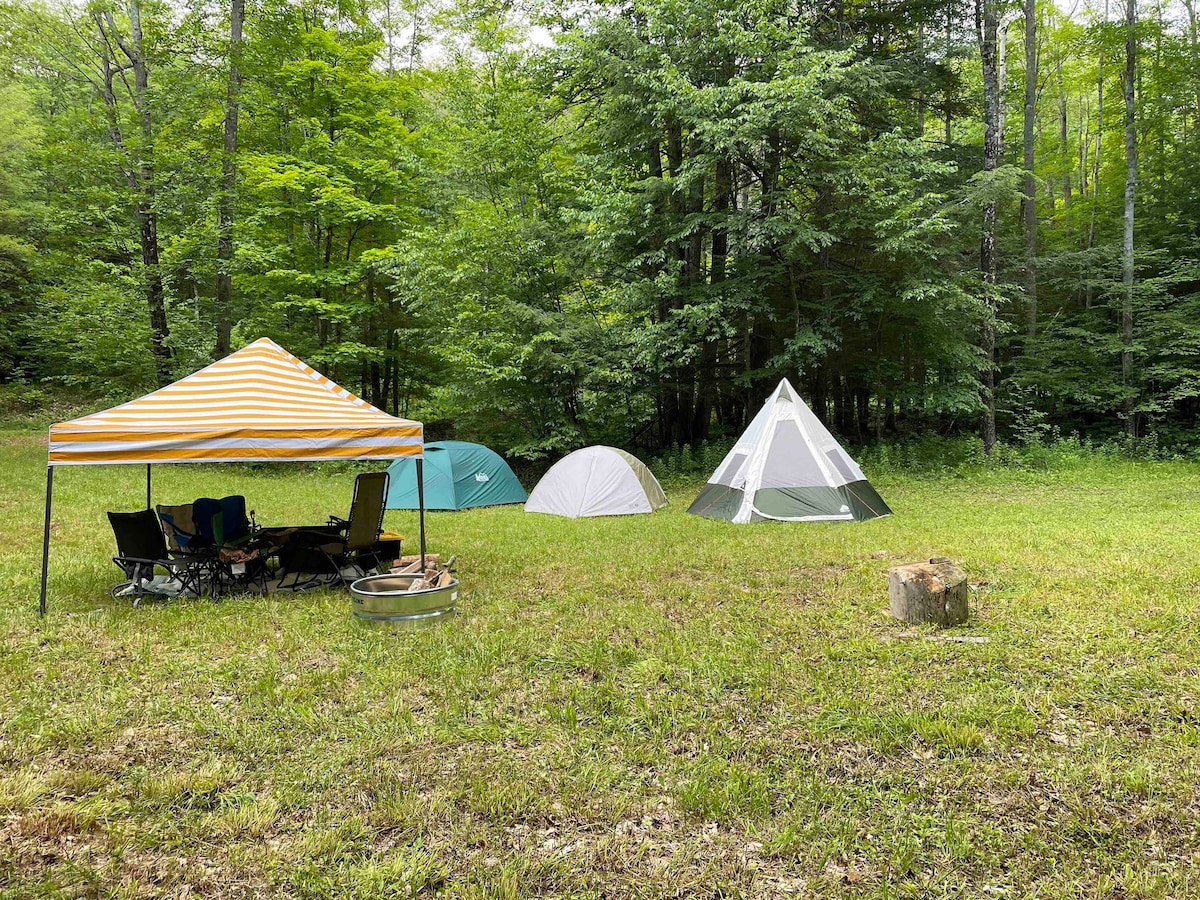 小型露营车或团体帐篷露营地