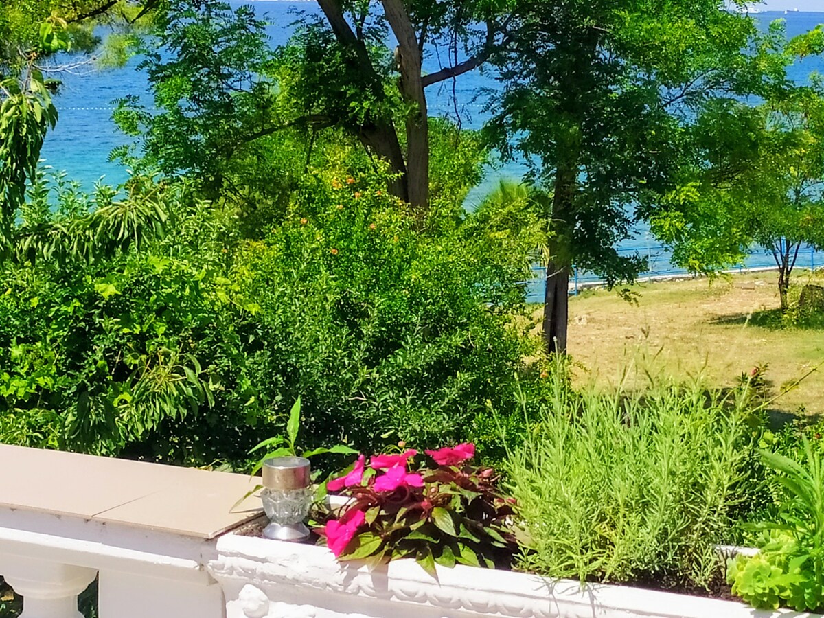 公寓，可欣赏海滩和花园的美景