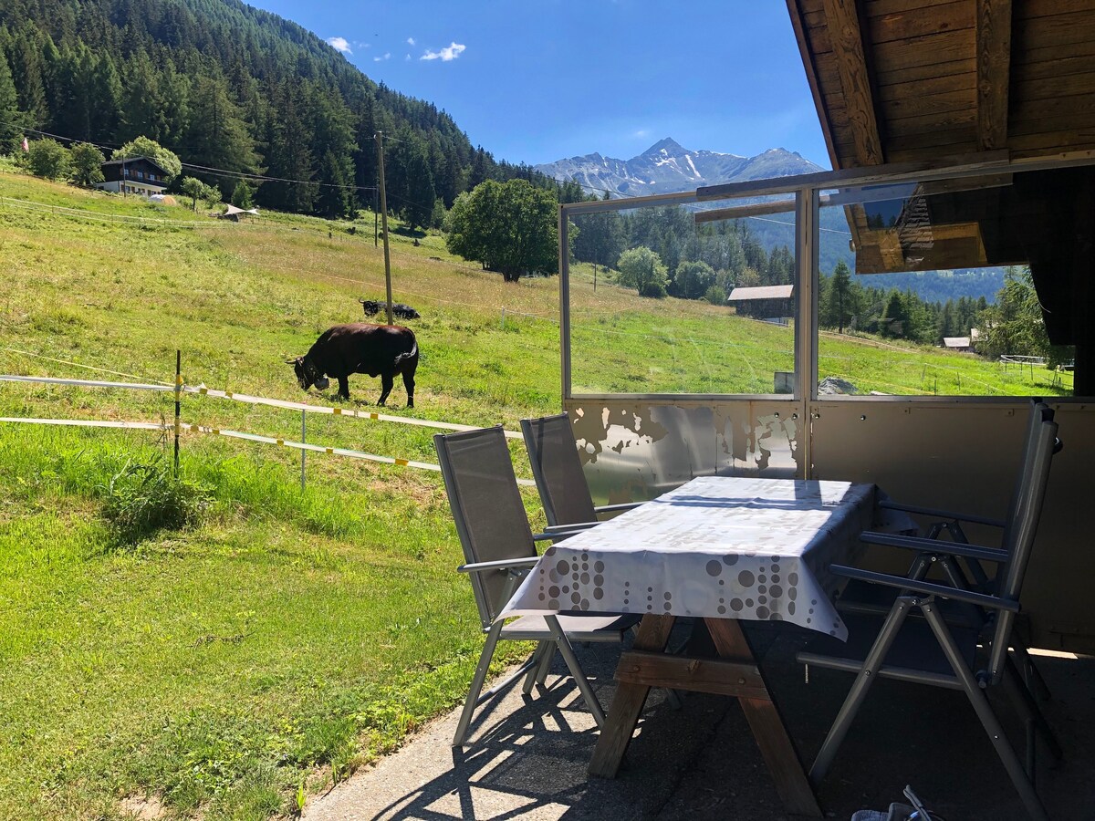 Chalet zär Pletschu