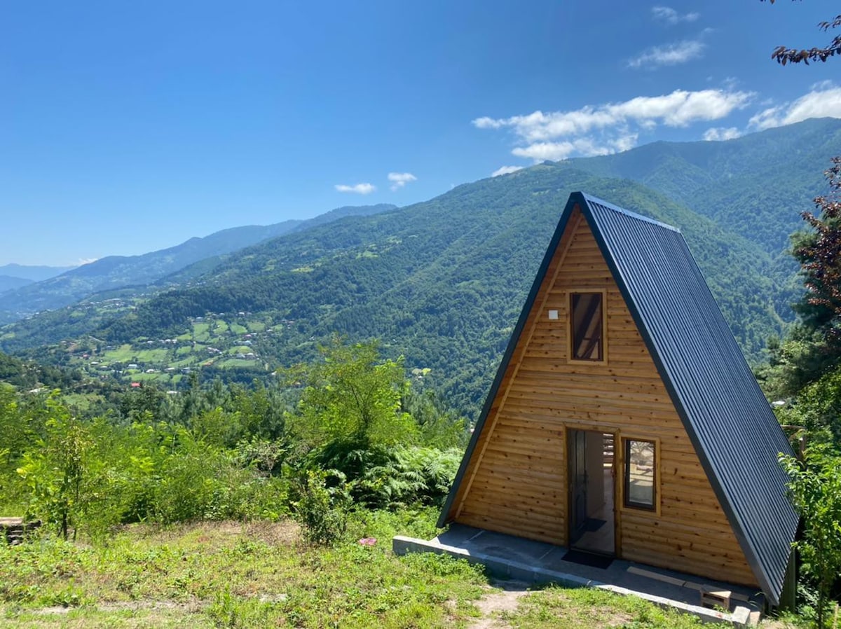 A型小屋•酒窖•养鱼场