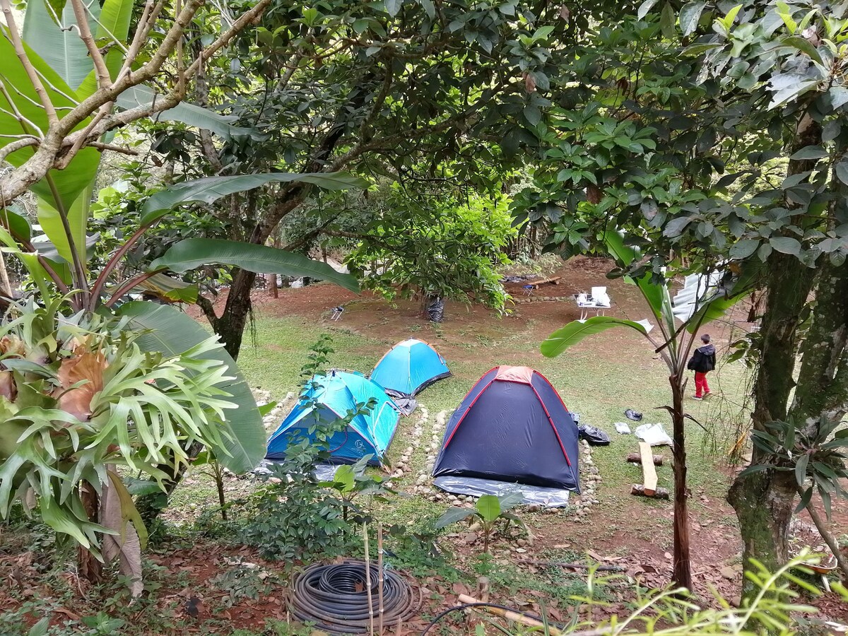 Camping, Rio y Descanso
