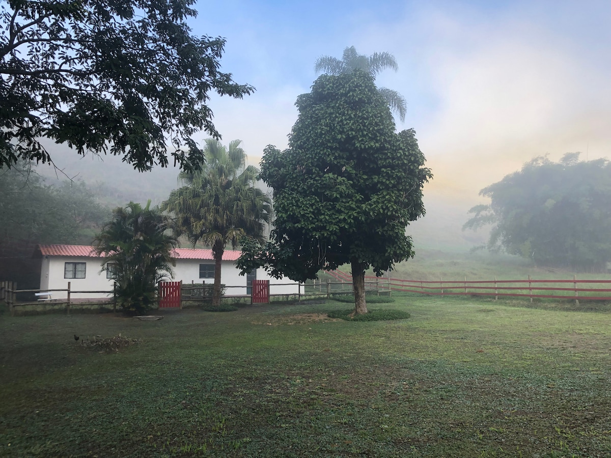 Vivenda dos Guaranys _loft:Uma imersão na natureza