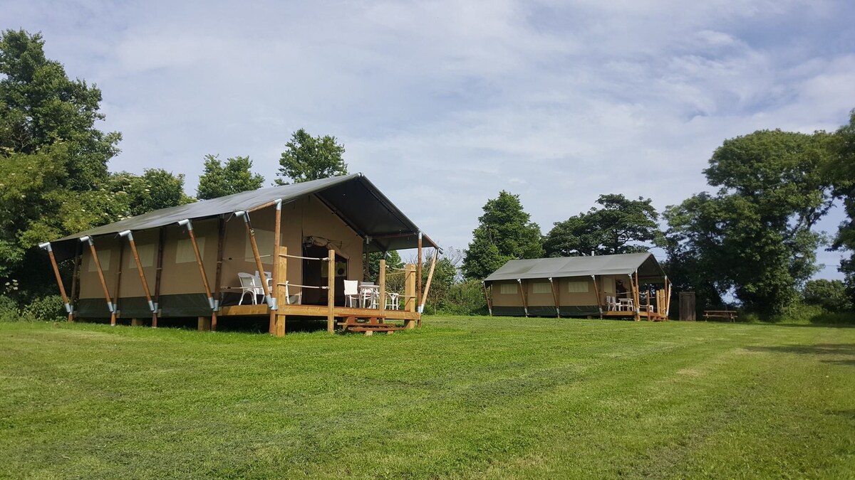 Rosevidney Glamping Bluebell Safari Tent