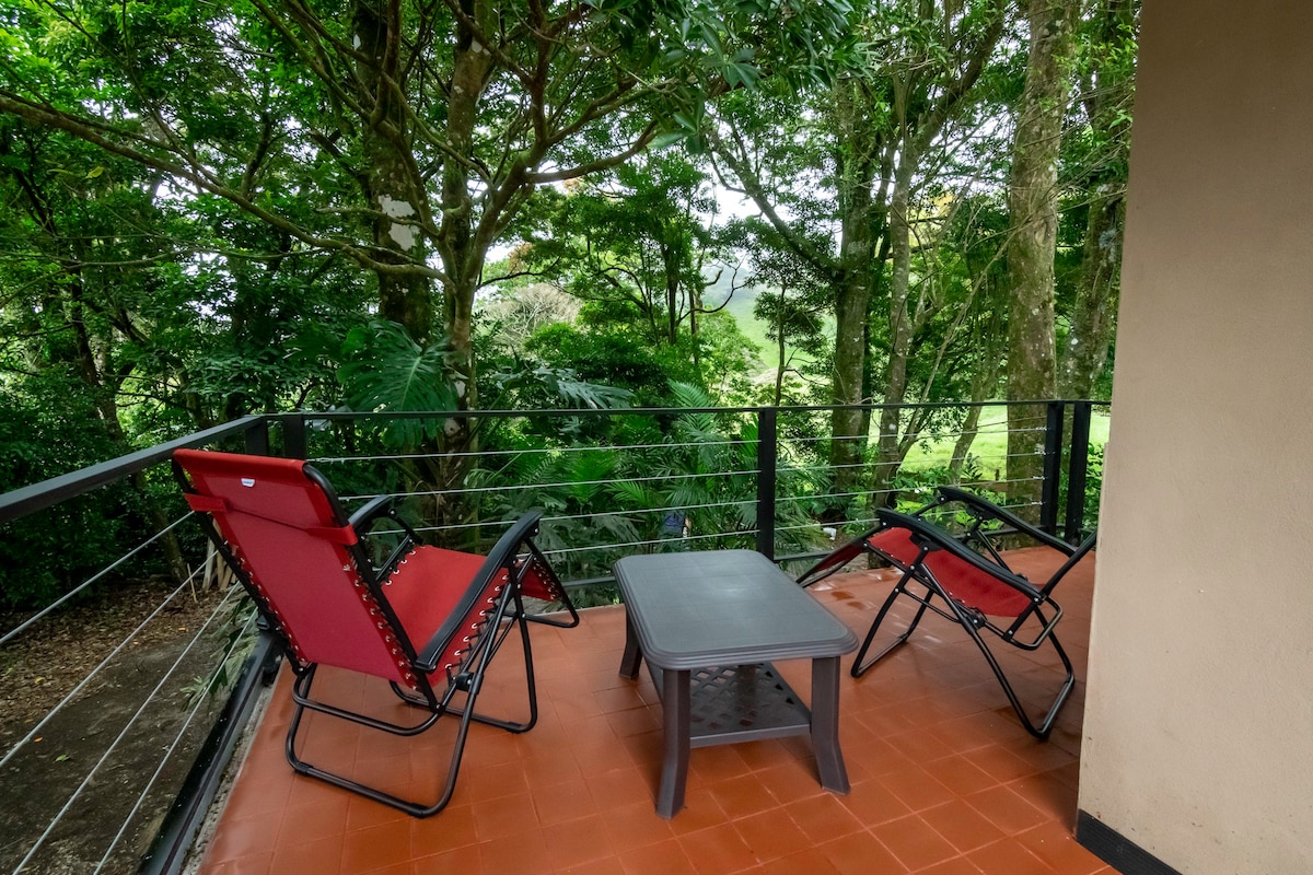 Bird Paradise Apartment, Monteverde