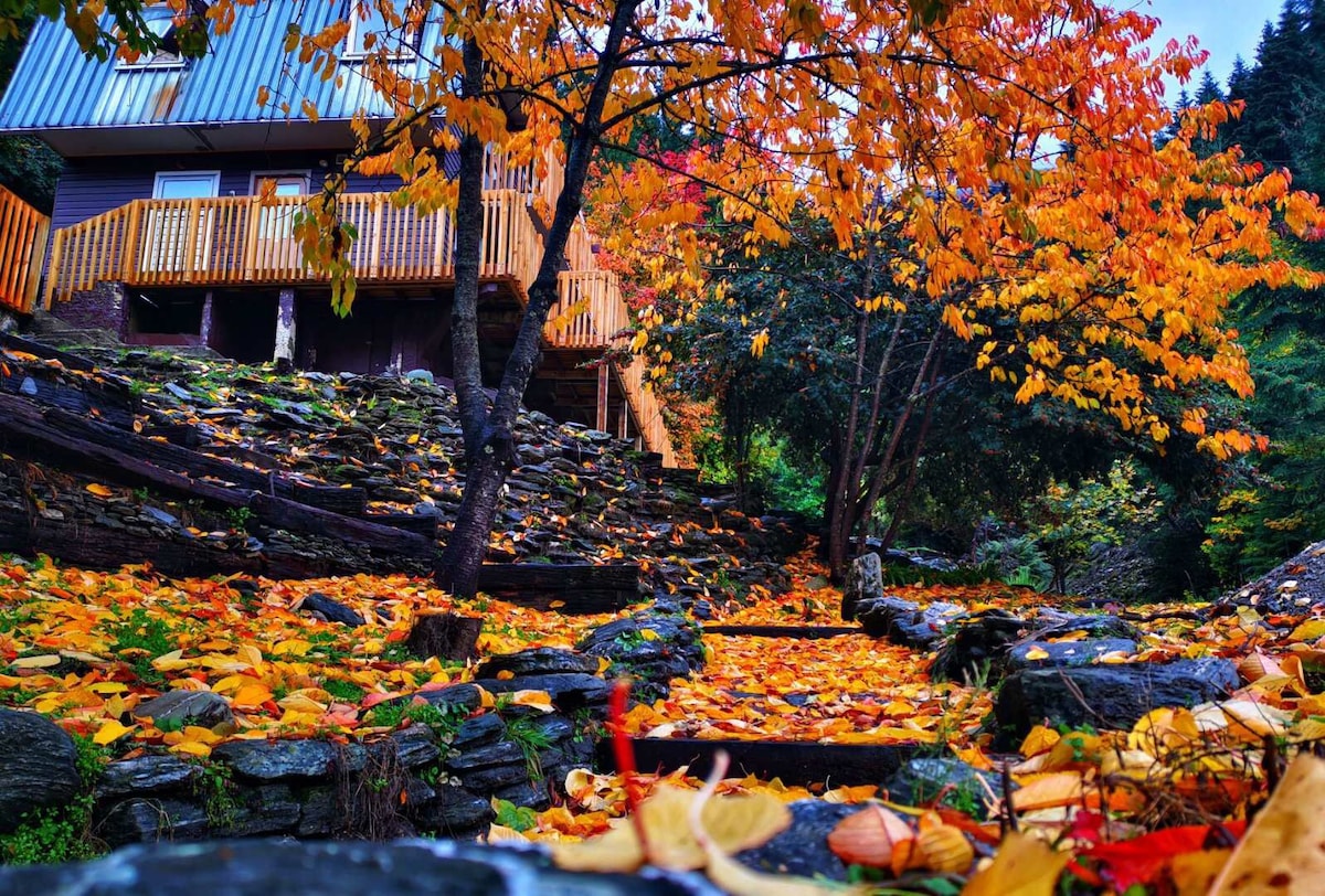 小木屋，山溪，水声和鸟歌