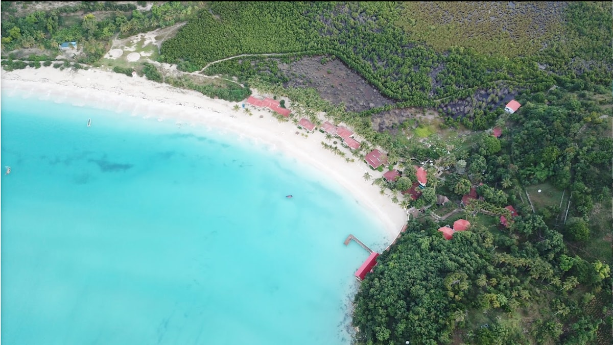 Laplage ，您在海地真空宫的住处。A