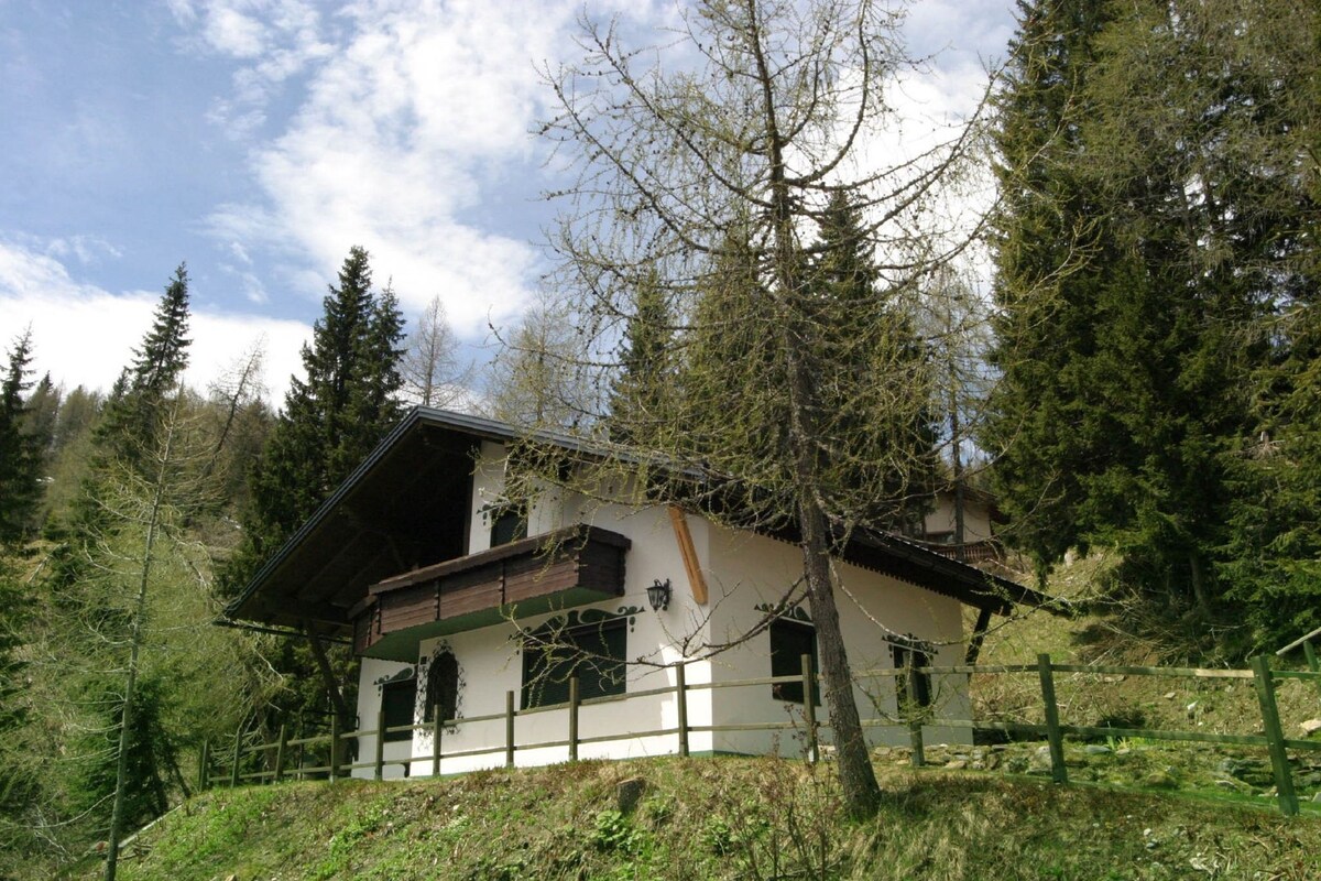 Chalet in Nassfeld ski area in Carinthia