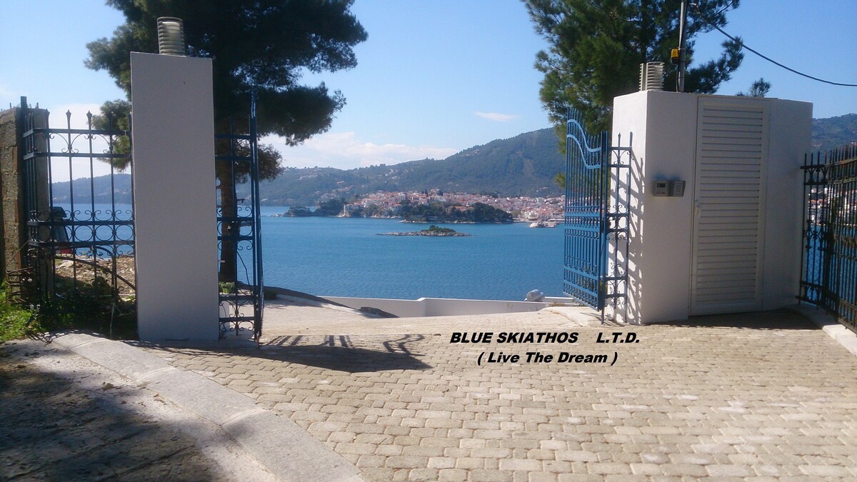 BLUE SKIATHOS LTD  Private Villa  (Live The Dream)