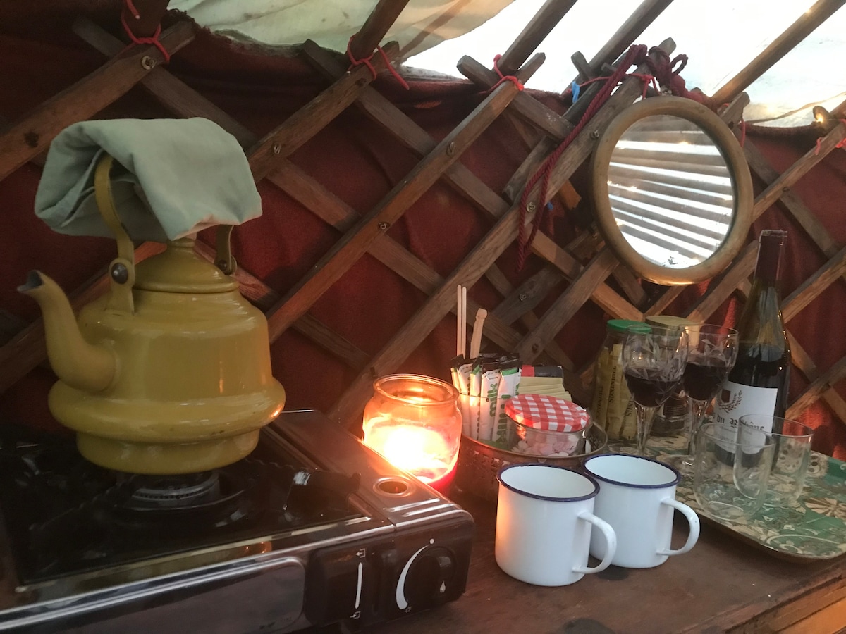 Country Garden Yurt Retreat in Norfolk