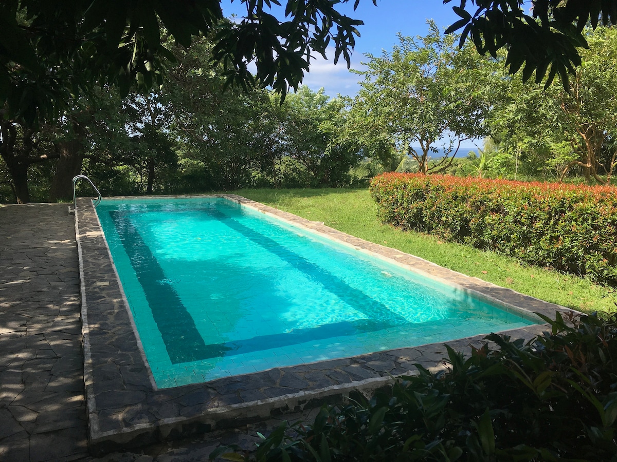 Modern Room with beautiful Pool