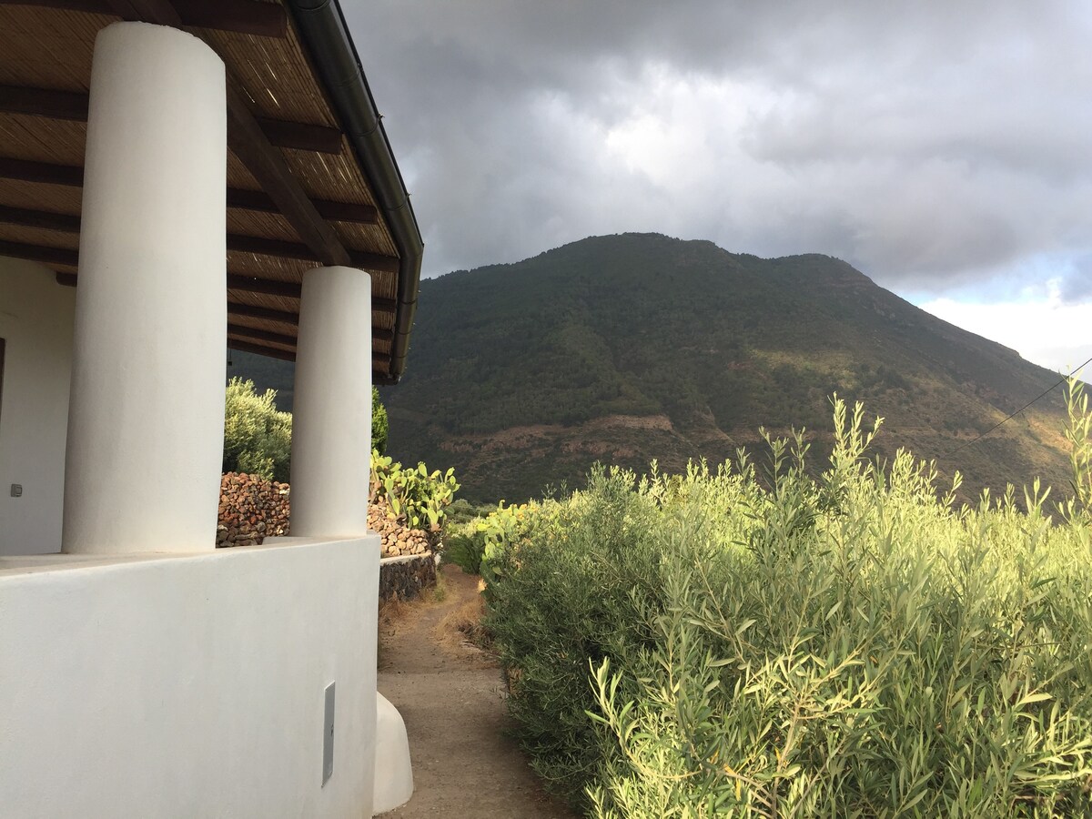 Sicily, Aeolian Islands, Salina.