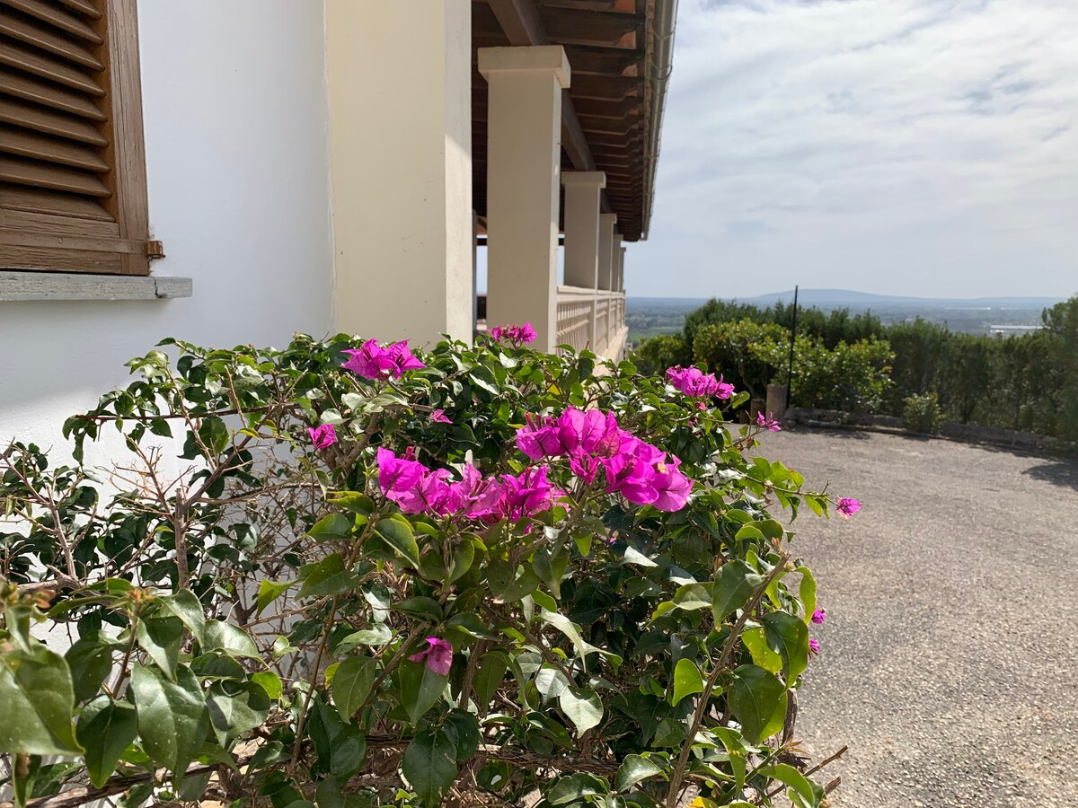 "Tranquilidad, piscina y en el centro de Mallorca"