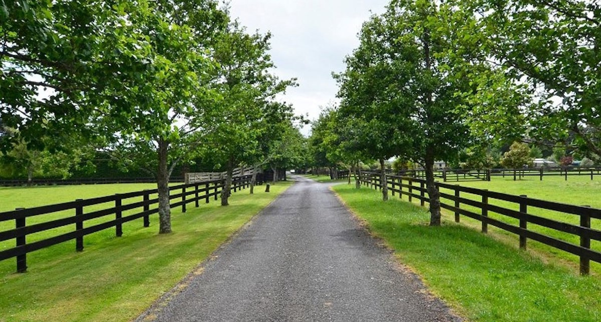 Alfriston Stables