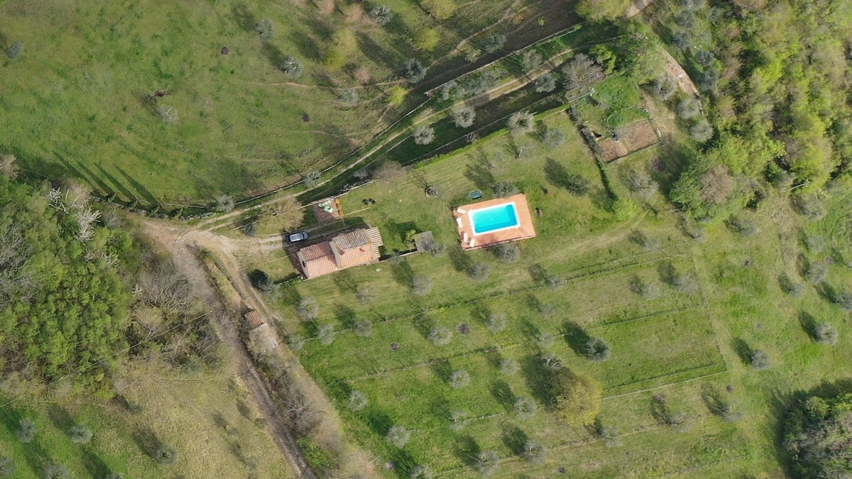 Villa San Regolino ，带专用泳池