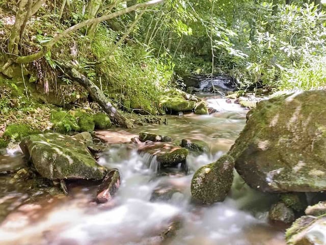 玛吉谷 (Maggie Valley)的民宿