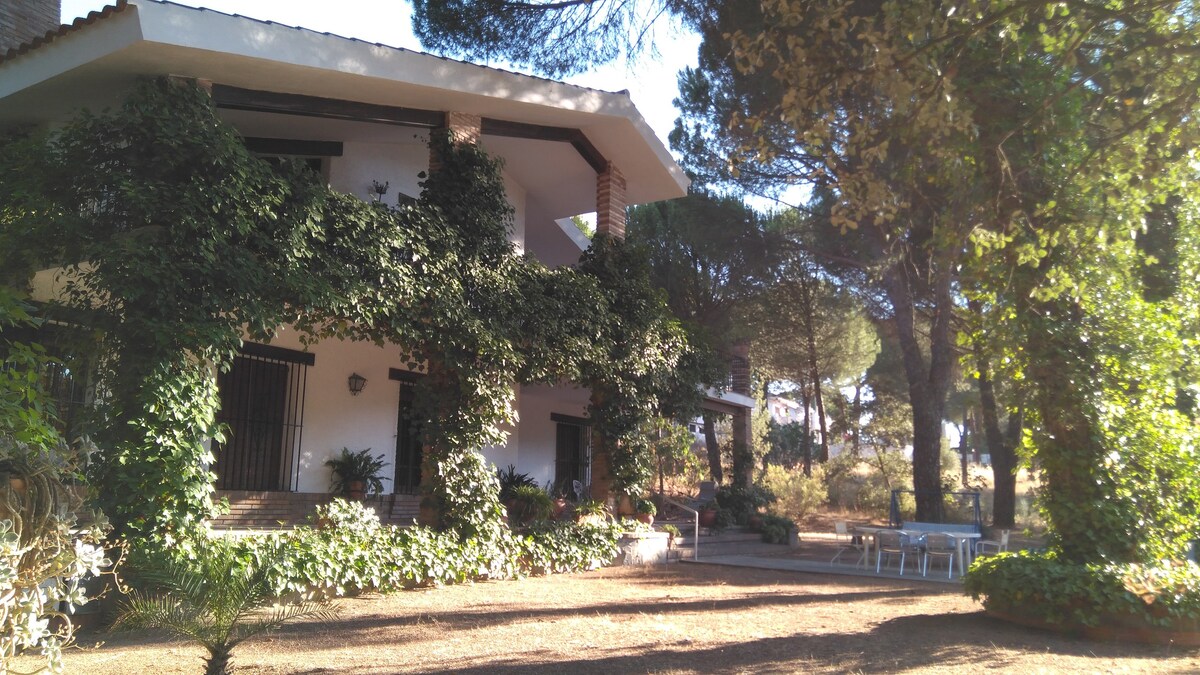 Casa Rural Viña Arroyo del Gallo
