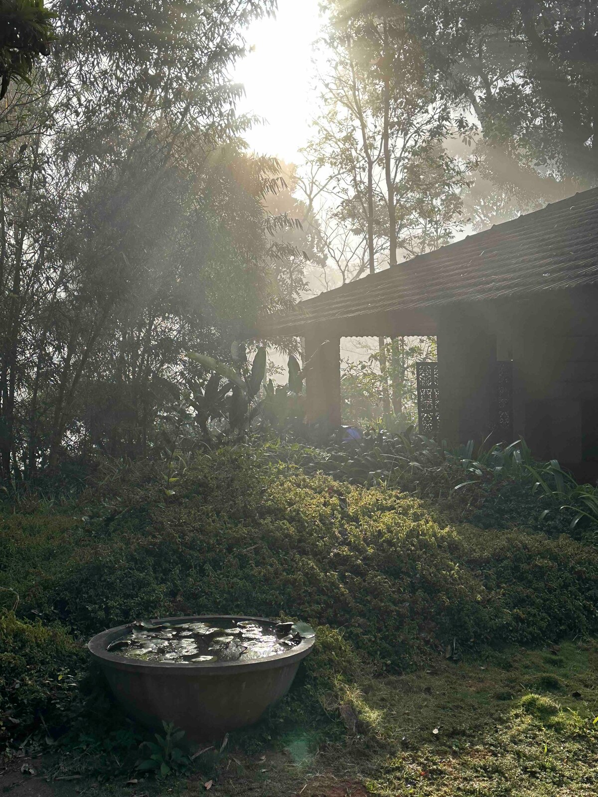马格诺利亚别墅（ Villa Magnolia ） -咖啡种植园
