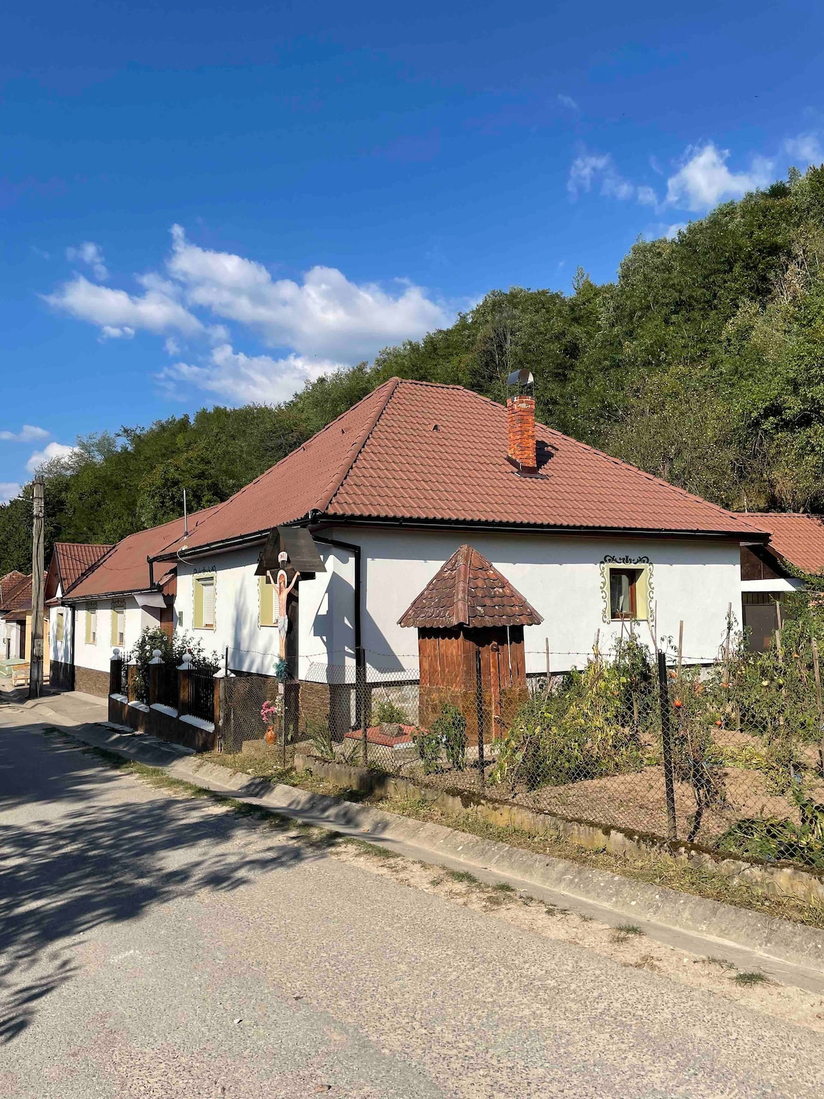 Cozy House in Transylvania Mountains