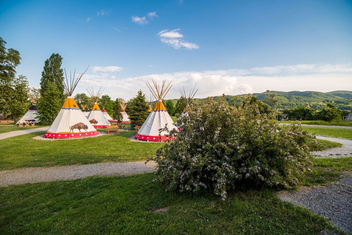 Terme Čatež 5的单卧室公寓，可欣赏湖景