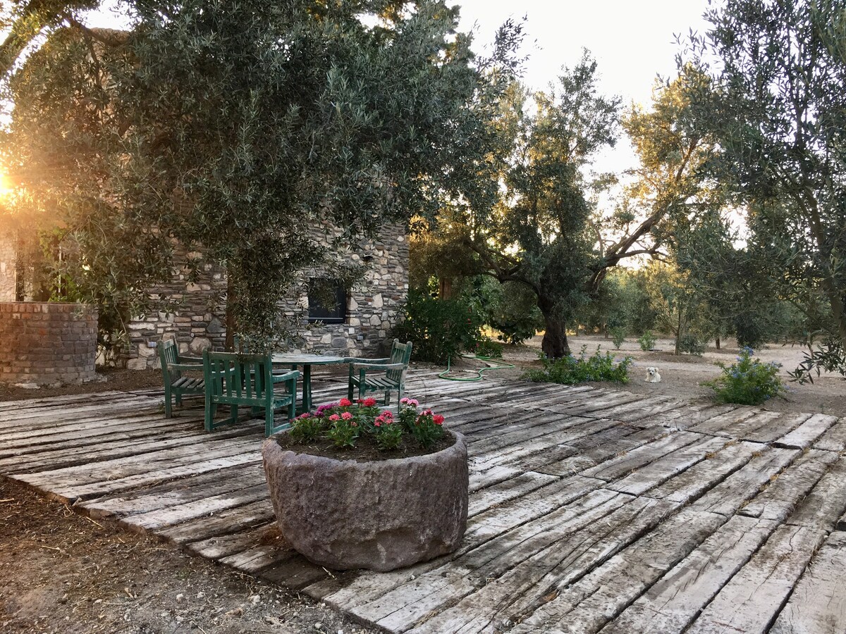 橄榄树旁宁静舒适的石屋