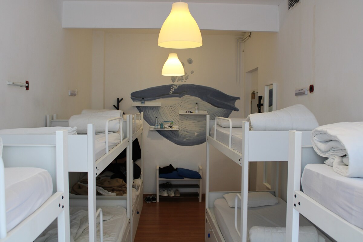 10人卧室。地中海旅舍