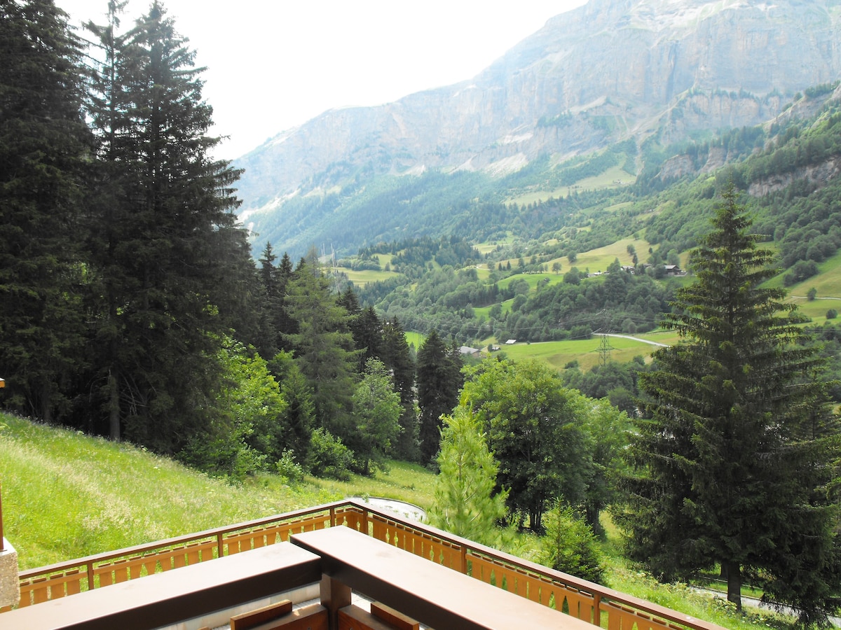 瑞士高山度假胜地，可欣赏壮丽的美景。