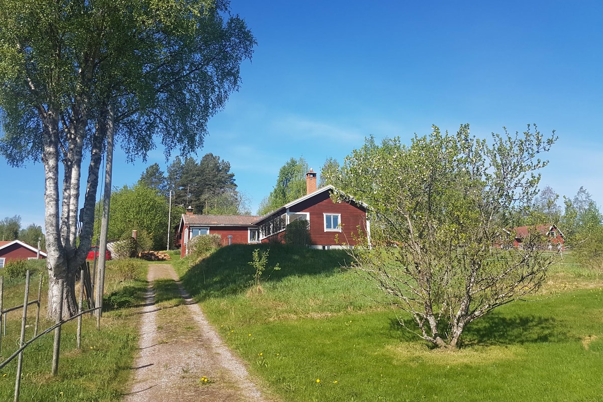 Cosy cottage by the lake Siljan