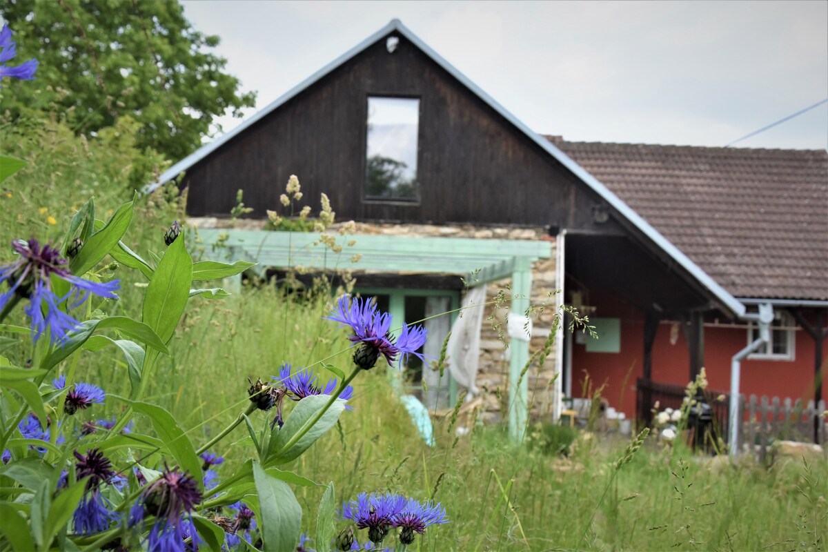 Hluboke u Kunstatu Cottage