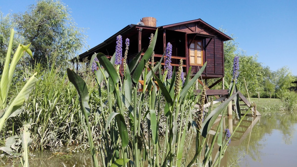 Los Juncos Cabin, Isla Verde Lodge. Delta, Tigre