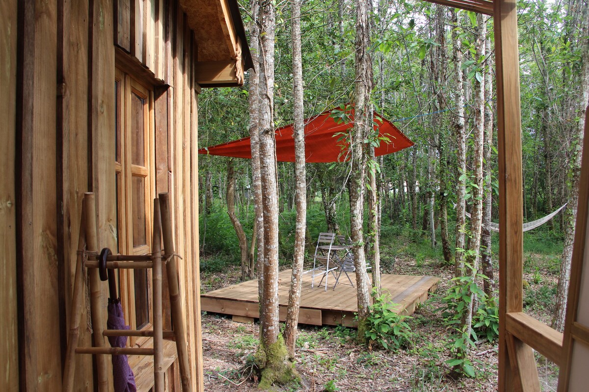 "La Cabane sous les Châtaigniers "