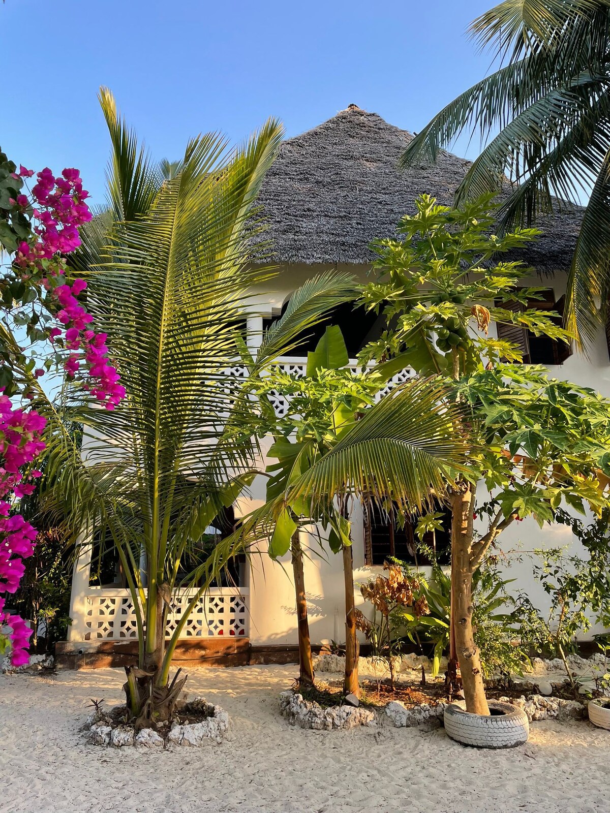 Happy Lodge (deserts, Zanzibar)