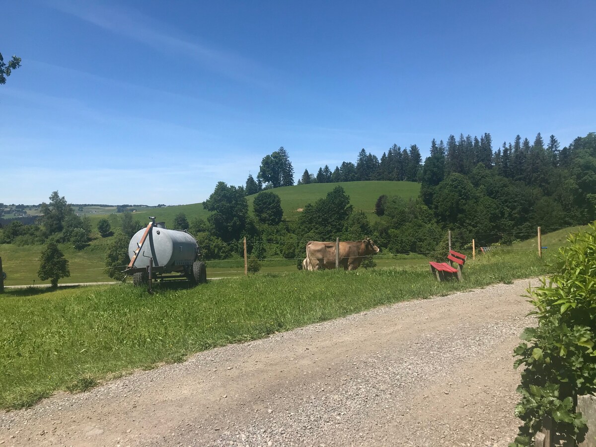 安静的公寓，维护良好，位于Allgäu