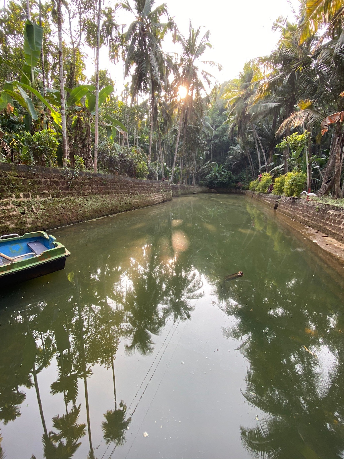 “NannaVana” A Forest Accommodation