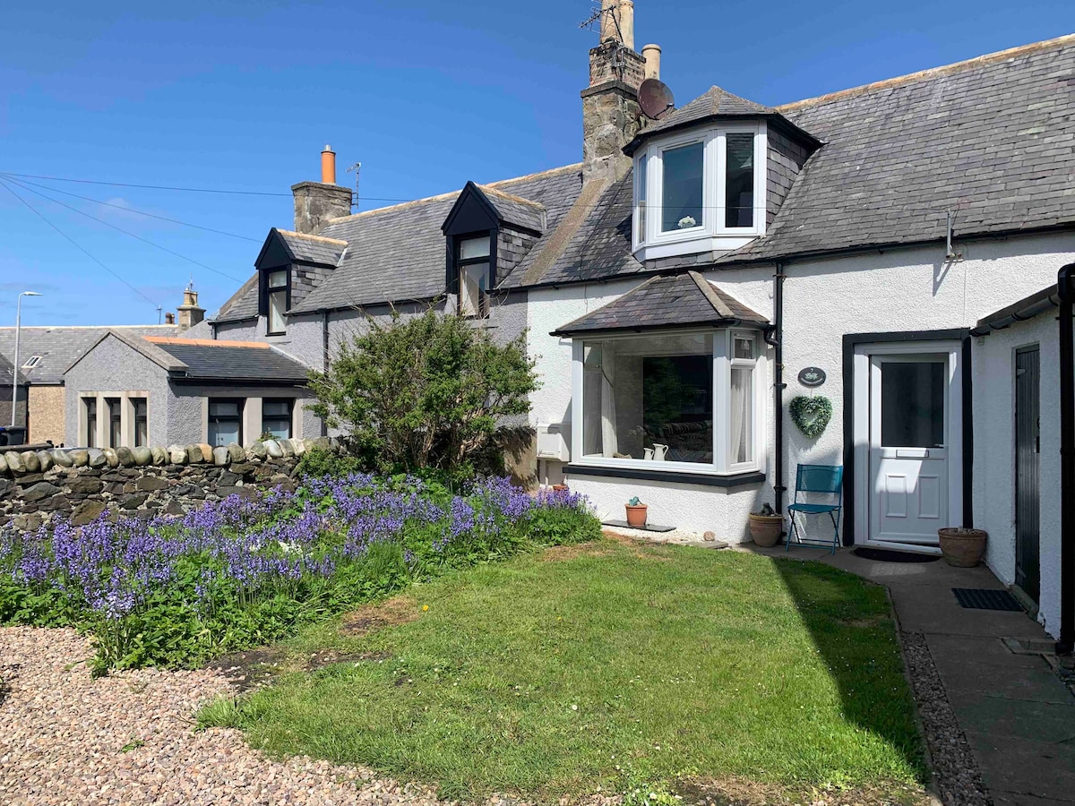 Georgous modern seaside cottage - dogs welcome