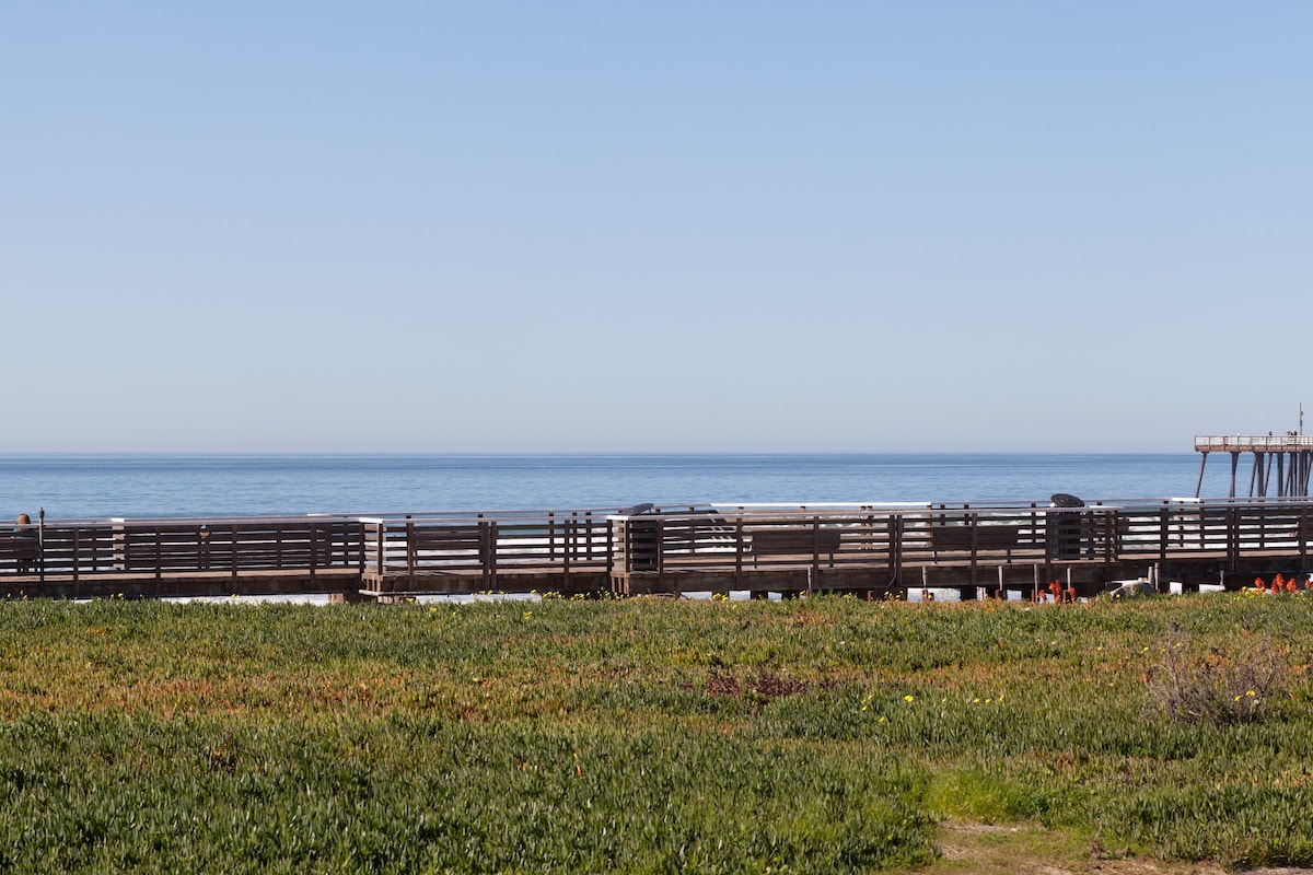 皮斯莫海滩沙滩（ Pismo Beach Sand ）不远。