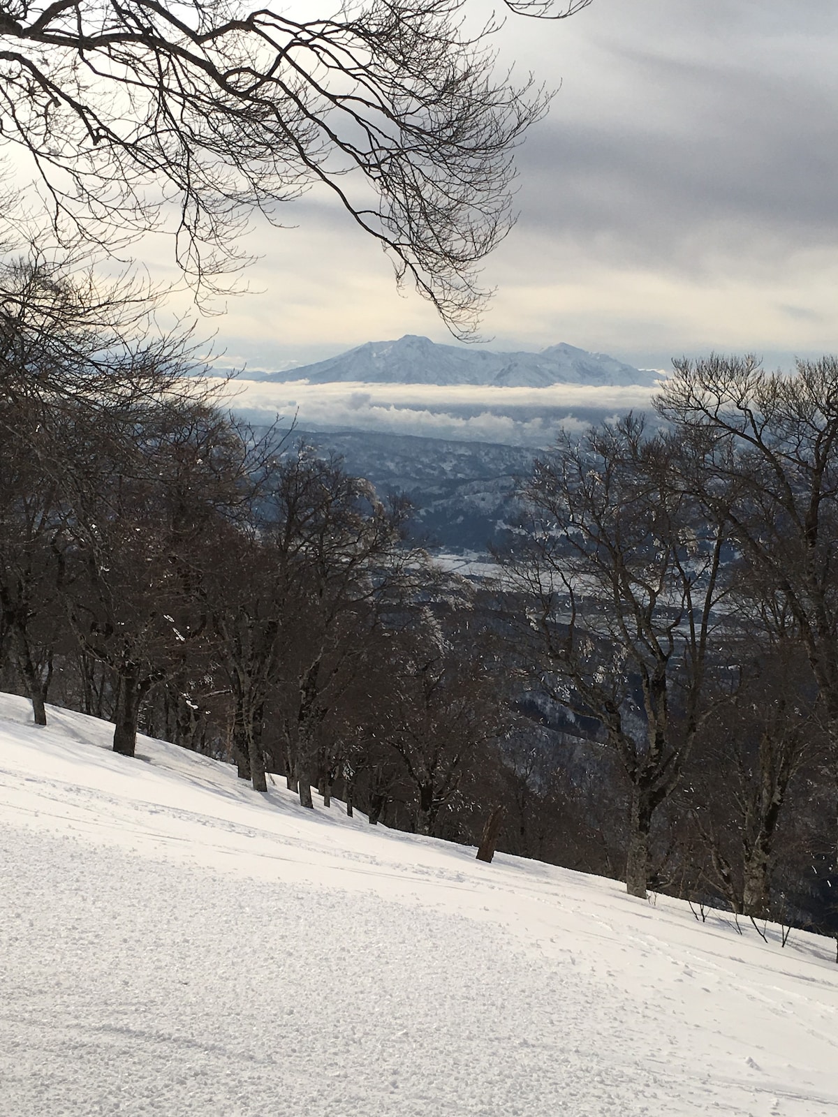 野泽温泉Basecamp # 201全新双人床双浴室