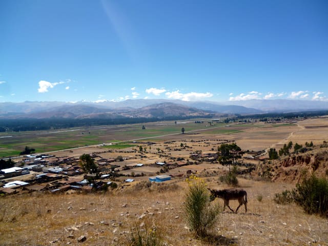 Concepción的民宿