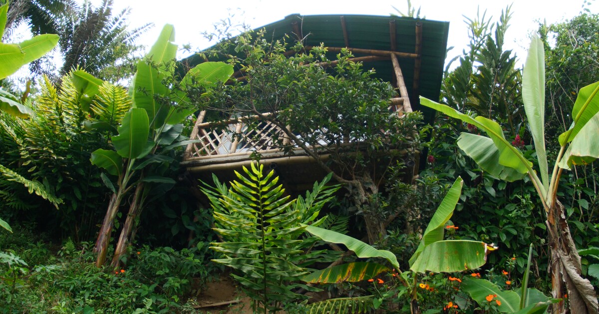 Cabaña Perdiz en el bosque lluvioso del Choco