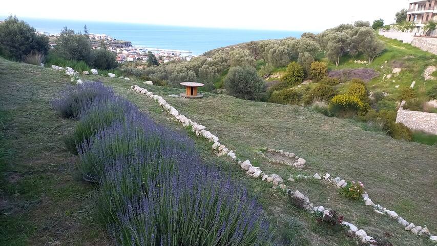 Karaburun的民宿