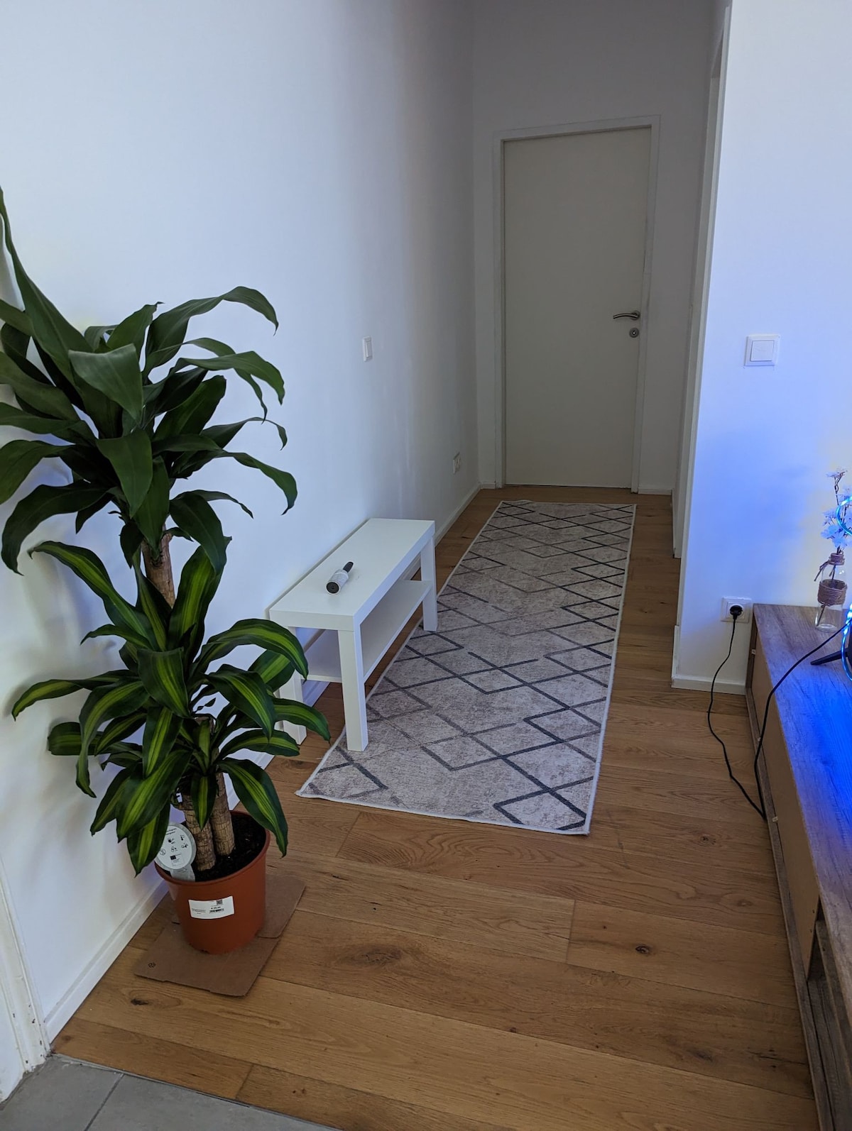 private appartement Vienna