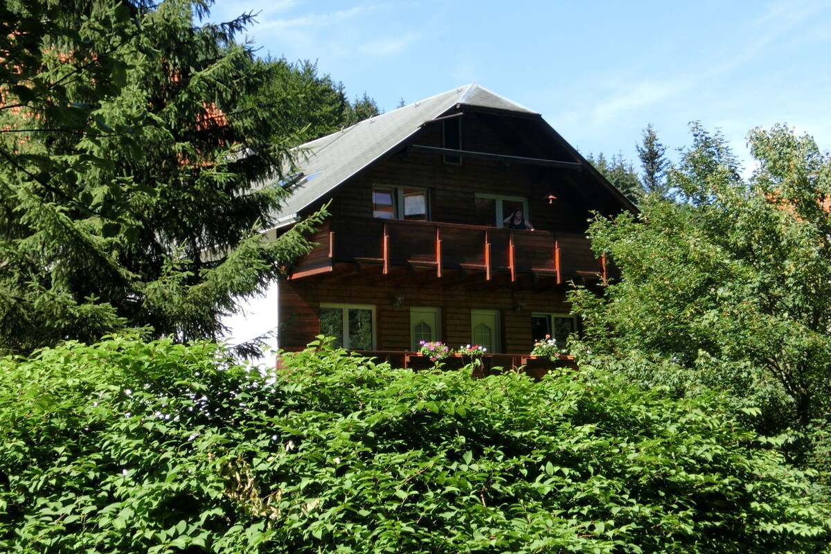 Apartment in Heubach Germany in the Forest