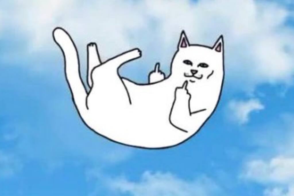 【棉花阁-Shit贱猫】流动线条-机场捷运走路3min享乐西门町\/101\/宁夏夜市