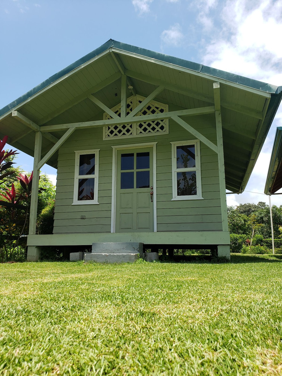 Casa Jacaranda Matapalo