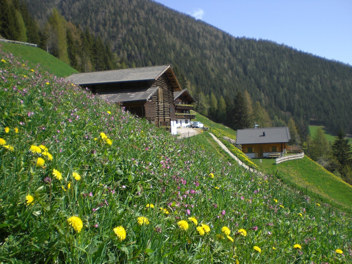 Chalet Niederhaushof Enzian