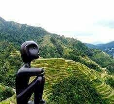 BANAUE GREENFIELDS INN宿舍型客房